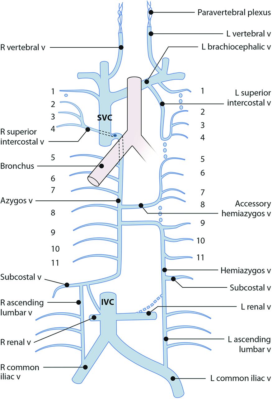 F6.large (1)